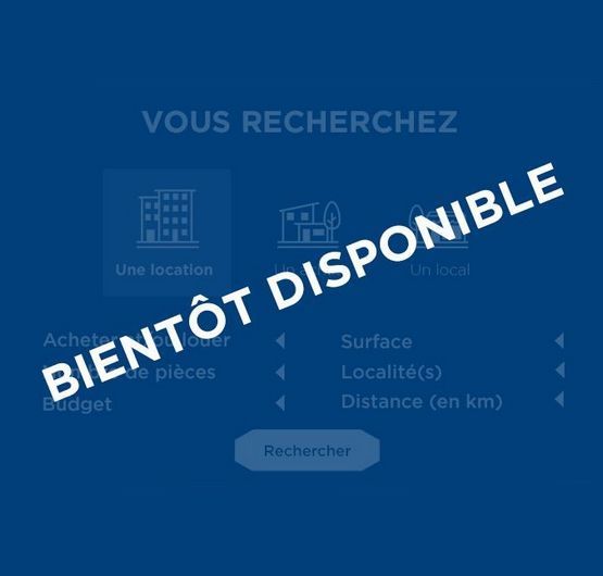 Vous recherchez
